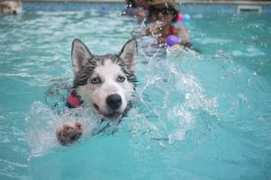 Wohlfühl-Momente im eigenen Pool Schwimmbad